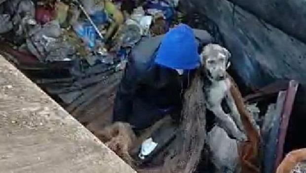 Çöp ayrıştırma makinesine düşen köpek için seferber oldular