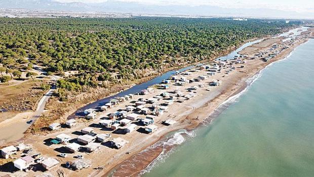 Kaplumbağalar nereye yuvalasın! Baraka işgali