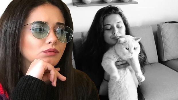 Kazada ölen İrem'in vasiyeti ortaya çıktı... 5 kişiye umut oldu