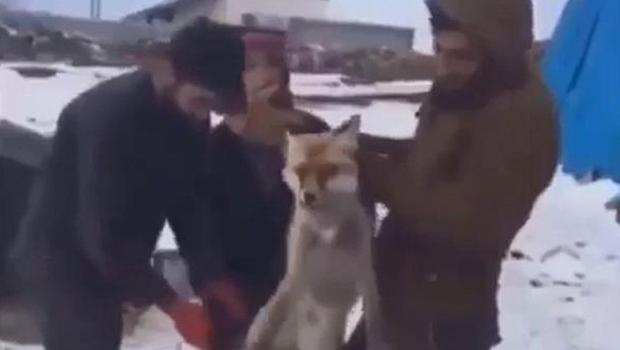 Görüntüler tepki çekmişti... Başsavcılık tilkiye işkence edenler için harekete geçti