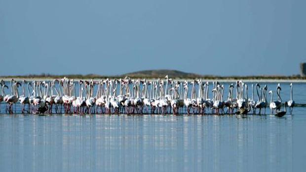 Cumhurbaşkanı Erdoğan'ın imzasıyla yayınlandı: 'Kesin korunacak hassas alan' ilan edildi