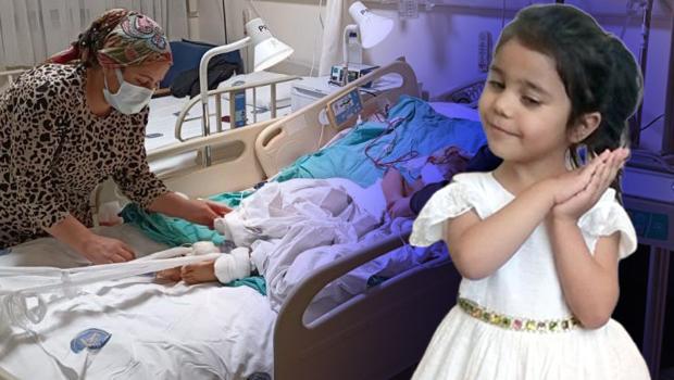 Pitbull saldırısında yaralanan Asiye Ateş'e yüz felcine yönelik ameliyat yapıldı