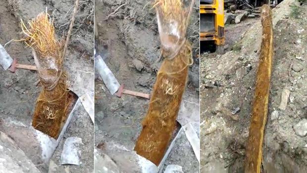 Şaşkına çevirdi! Su borusundan 6 metrelik ağaç kökü çıktı