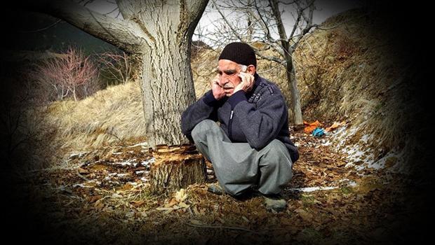 Yaşlı adamın sözleri yürekleri burktu: Vicdansızlar ağaçlara nasıl kıydınız