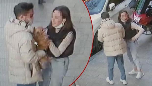 İstanbul'da ilginç hırsızlık! Köpeği önce sevdiler, sonra çaldılar