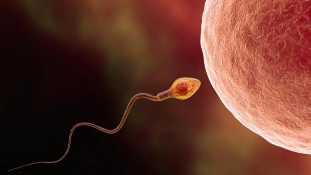 'Kız arkadaşımı yakaladım, ne yapacağım?' Sperm hırsızlığı hakkında merak edilenler…