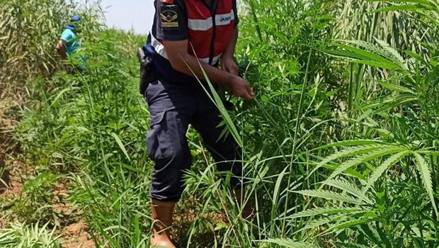 Gasp ettikleri16 kilo altın toprak altından çıktı