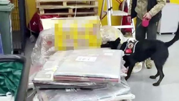 Kargo firmasının şubesinde bulundu! Tam 2 kilo 400 gram...