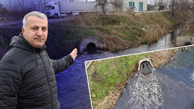 Bursa'da dereler zehir akıyor! 'Bu yıl da müsilaj tehdidi kapıda'