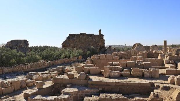 Yeni buluntular ortaya çıkardı! Dara Antik Kenti, zeytin üretim ve ticaret merkeziymiş