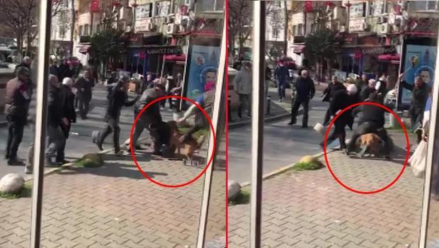 İstanbul'un göbeğinde pitbull dehşeti! 3 kişi yaralandı
