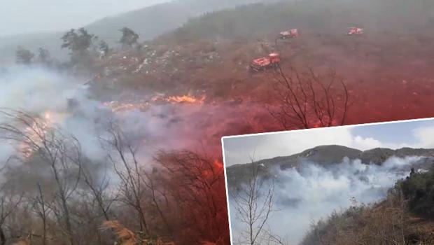 Hatay İskenderun'da korkutan orman yangını