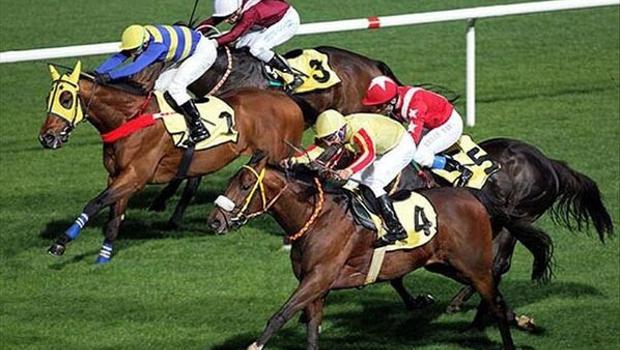 Atçılık sektöründe yeni dönem!