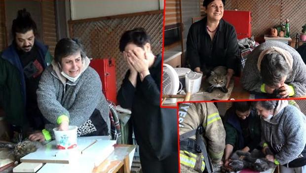 Avcılar'da büyük panik! Gözyaşlarına boğuldular: Kedileri kurtarmak için...