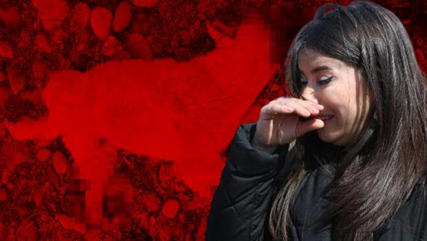 Tunceli’de vahşet! Sokak köpeği bacakları kesilmiş halde ölü bulundu