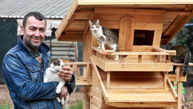 Sokak hayvanları derneği başkanına 'görevi kötüye kullanmak'tan hapis cezası