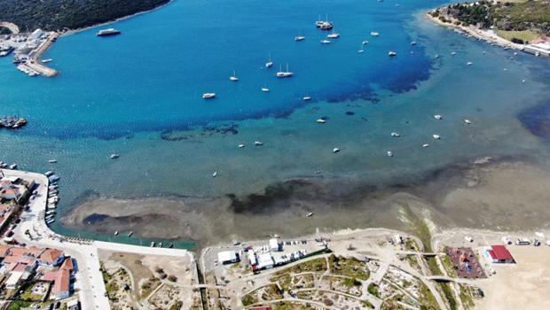 İzmir’de deniz çekildi: Havadan böyle görüntülendi... Uzmanı sebebini açıkladı