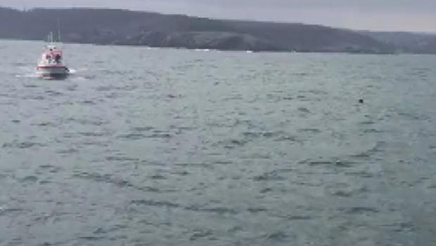 Bakanlık duyurdu: İkinci bir duyuruya kadar Karadeniz kıyısında balık avı yasaklandı