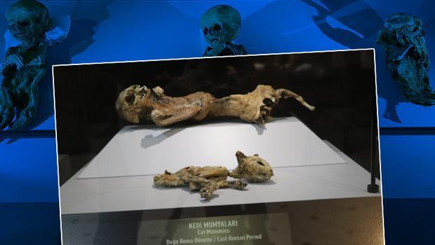 Aksaray’da bin yıllık mumyalar! Kedi mumyası dikkat çekiyor