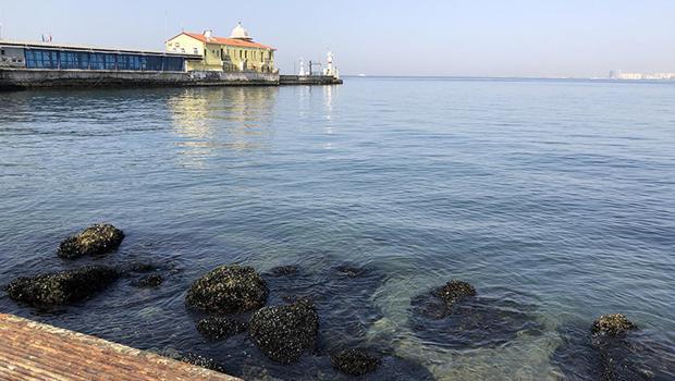 İzmir'de deniz suyu seviyesi azalınca Pasaport İskelesi kapatıldı: 'Bu yıl biraz daha fazla oldu'