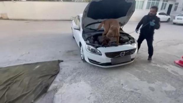 Otomobilin bagajındaki 15 kilo eroini 'Felix' buldu