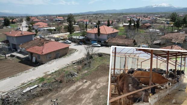 Şap hastalığı 7 mahalleyi karantinaya aldırdı