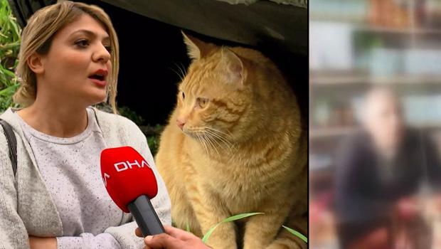 Mahalledeki kediler tek tek kaybolunca araştırmaya başladı! Çileden çıkaran iddia: 40 TL karşılığında çocuklara toplatmış