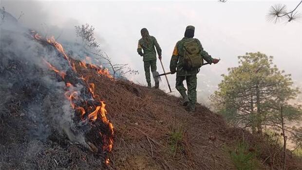 Haftalardır devam ediyor: Meksika’da 71 orman yangını...