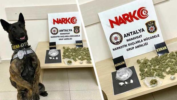 Manavgat’ta uyuşturucu operasyonu