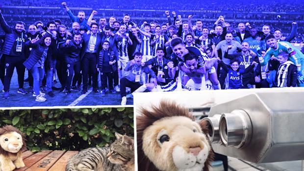 Fenerbahçe'den derbi sonrası Galatasaray'ı tiye alan paylaşım! "Bir aslan miyav dedi"