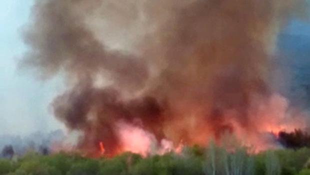 Ermenistan'da domuzları kaçırmak için yakılan ateş ormana sıçradı