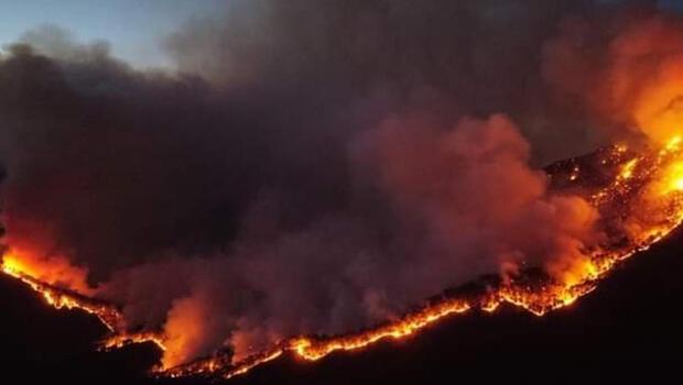  Meksika'nın Nuevo Leon eyaletindeki orman yangını kontrolden çıktı