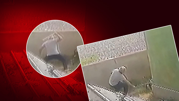 Savcı, Duman isimli köpeği döven sanığa 3 yıla kadar hapis cezası istedi