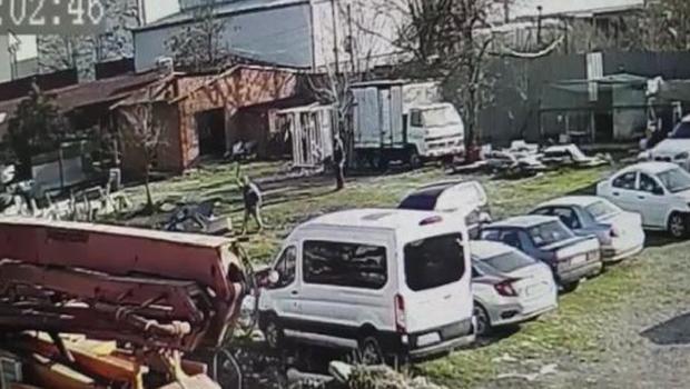 Tavukları kovalayan köpeğe sopayla darp: Cezaları belli oldu