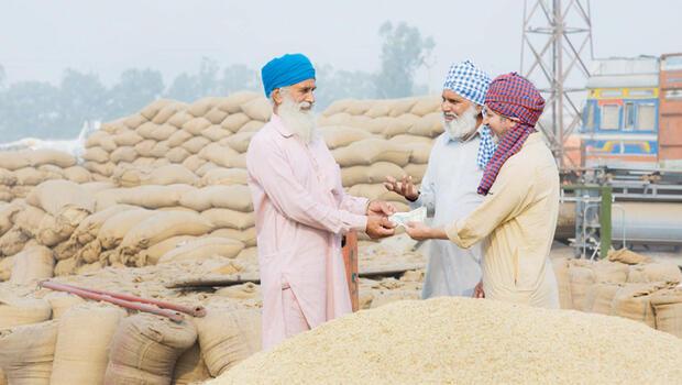 Üretim yeterli buğdayda sıkıntı yok: Hindistan’ın buğday kararının, Türkiye’yi etkilemesi beklenmiyor