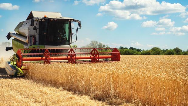 Tarım Bakanı Vahit Kirişci son durumu açıkladı: Buğdayda eksiğimiz yok fazlamız  var