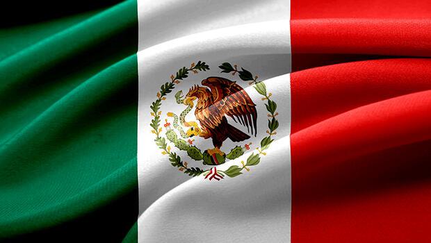 Meksika’da ev partisine silahlı saldırı: 7 ölü, 7 yaralı