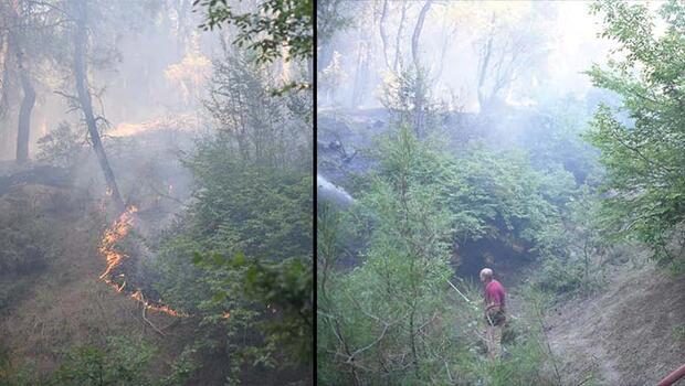Edirne'nin Keşan ilçesinde korkutan orman yangını