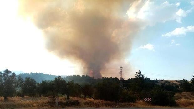 İzmir’de orman yangını 