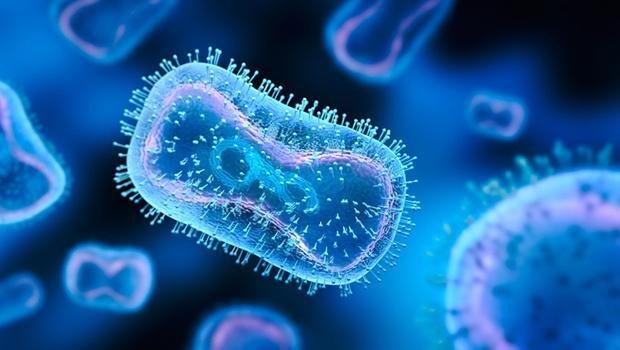 Doktorlar şaşkına döndü… Böylesi ilk kez oluyor: İtalyan bir adamda Covid, maymun çiçeği ve HIV aynı anda görüldü!