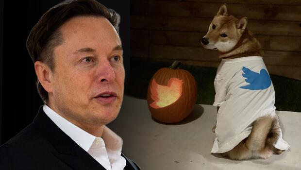 Elon Musktan Dogecoin paylaşımı! Yükseliş başladı