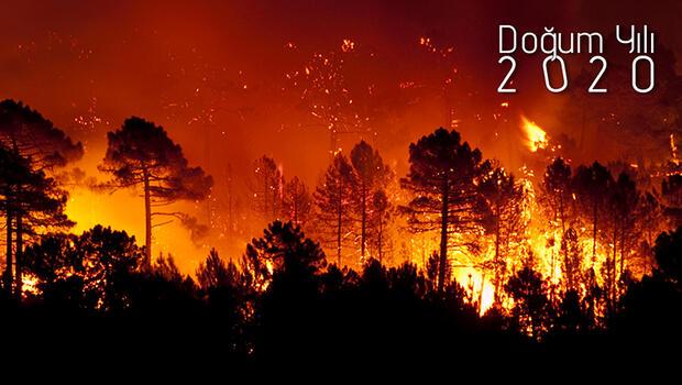 Hurriyet.com.tr ÖZEL BELGESEL | Doğum Yılı 2020 Bölüm#3: Ormanlarımız neden yanıyor? Nasıl engelleriz?