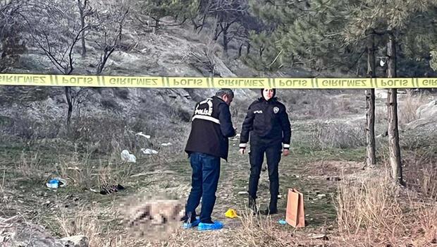Ankara’da tüfekle vurulmuş 4 köpek ölüsü bulundu