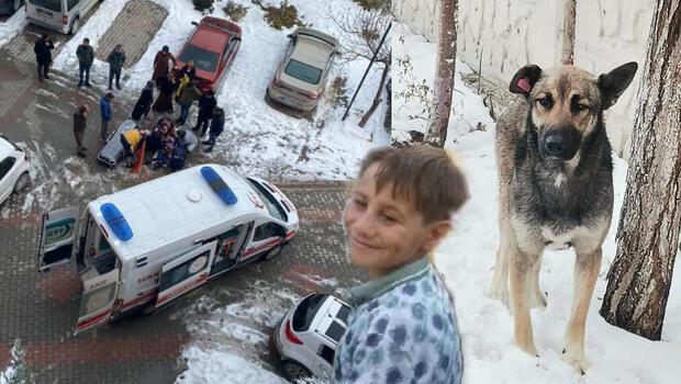 Köpeğin saldırısına uğrayan 10 yaşındaki çocuk hayatını kaybetti 
