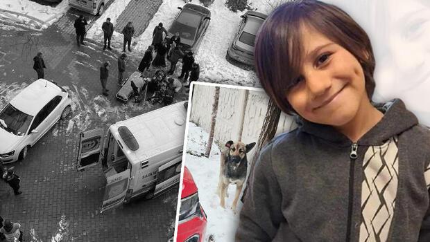Son dakika... Van'da minik Emir Mete köpek saldırısında hayatını kaybetti: Yeni detay ortaya çıktı