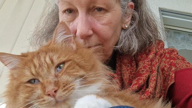 İsviçreli diplomat, kaybolan kedisine çiple kavuştu