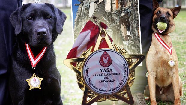 Arama köpekleri 78 kişiyi kurtardı! TSK’nın sessiz kahramanları madalya ile ödüllendirildi
