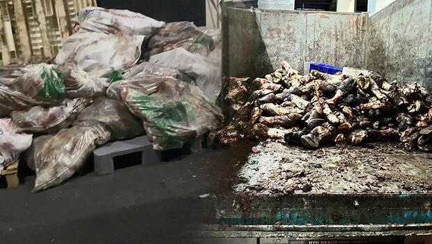İstanbul'daki et halinde tepki çeken görüntüler! Yerlerde kan, etrafa saçılmış çöpler ve kirli su...
