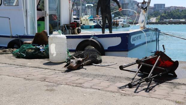 Zonguldak'ta dalgıçlar, limandan 1 ton çöp çıkardı