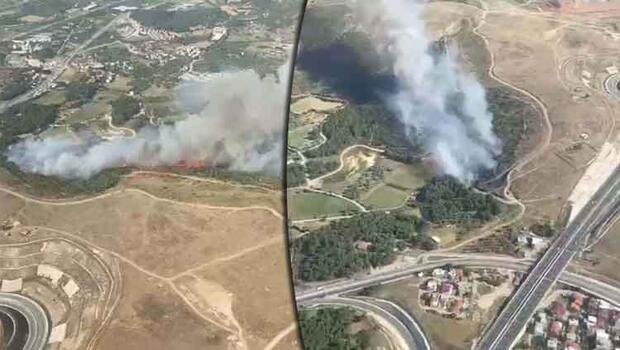 İzmir'deki orman yangını 3 saatte kontrol altına alındı 